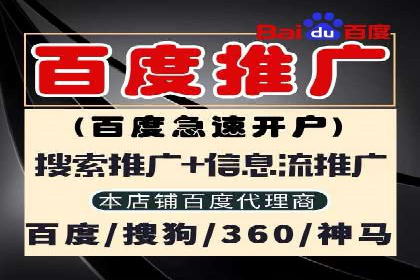 顶级SEM服务公司案例解析